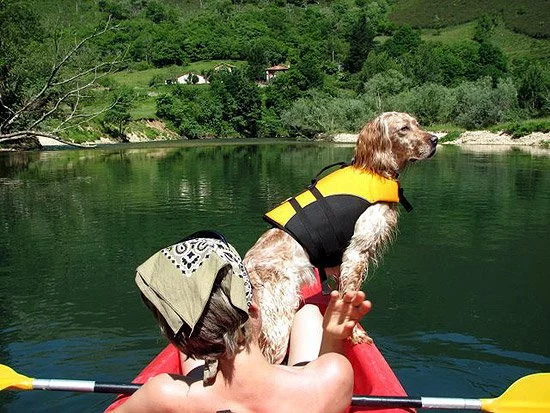 Disfruta de los mejores planes en Asturias con tu mascota 2