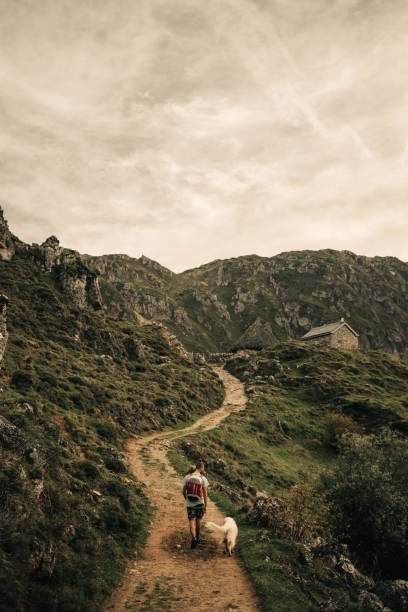 Disfruta de los mejores planes en Asturias con tu mascota