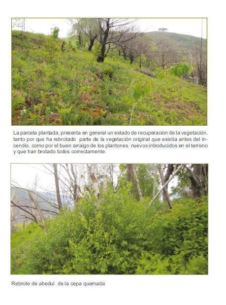 fondo para la proteccion de los animales salvajes fapas (1) fondo para la proteccion de los animales salvajes fapas (1)